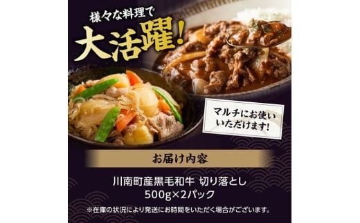 【訳あり】宮崎県産黒毛和牛　川南町産黒毛和牛切り落とし500g×2パック 【 宮崎県産 牛 牛肉 黒毛和牛 切り落とし 】[D05312]