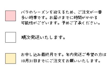 花巻温泉バラ園 オリジナル品種「ハートローズ95」大苗<2026年3月より随時発送> 【2049】