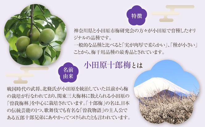 【小田原のブランド梅の大粒梅干し】雲上５個入り【 梅干し 神奈川県 小田原市 】 142069_CW083