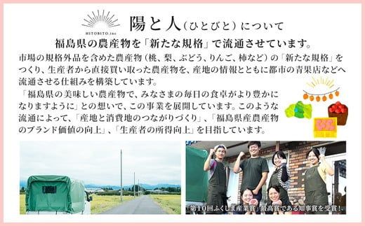 ◆2026年夏発送◆桃源のめぐみ～産直・桃・約5kg～ ※離島への配送不可 ※2026年7月上旬～9月上旬頃に順次発送予定 ｜ 先行予約 予約 数量限定 桃 もも モモ 果物 くだもの フルーツ 詰め合わせ 福島 ふくしま