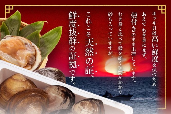 北海道 別海町産 活ホッキ 2.5kg【UY0000025】
