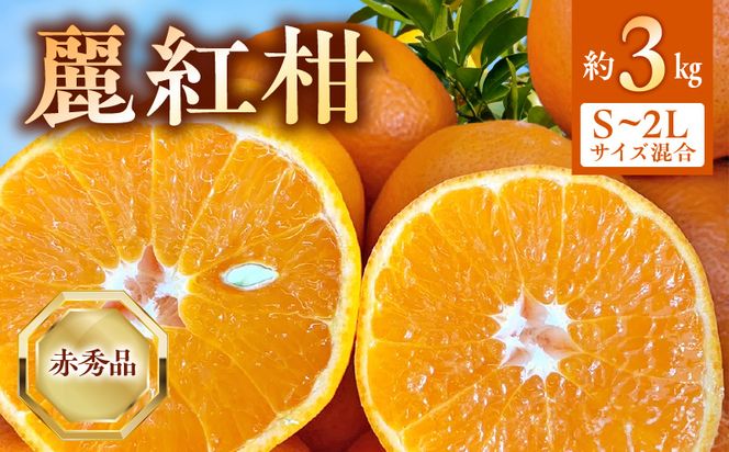 BF6062_【2027年先行受付】麗紅柑 (れいこう) 赤秀品 S～2Lサイズ 3kg 和歌山有田産