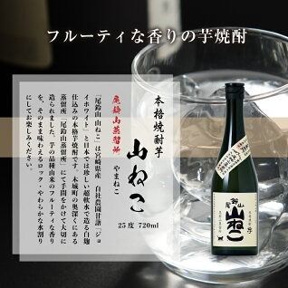定期コース3回　本格焼酎芋「尾鈴山 山ねこ(25度)」720ml×2本【尾鈴山蒸留所】K08_T001_3