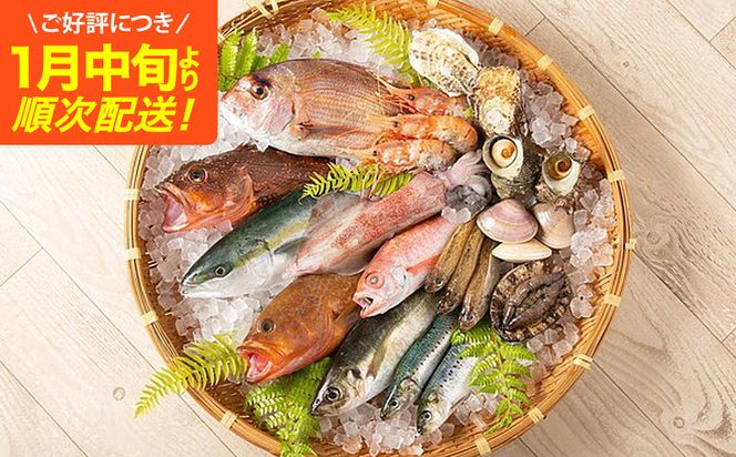 【城崎温泉おけしょう鮮魚】 季節の海の幸セット 約4人前