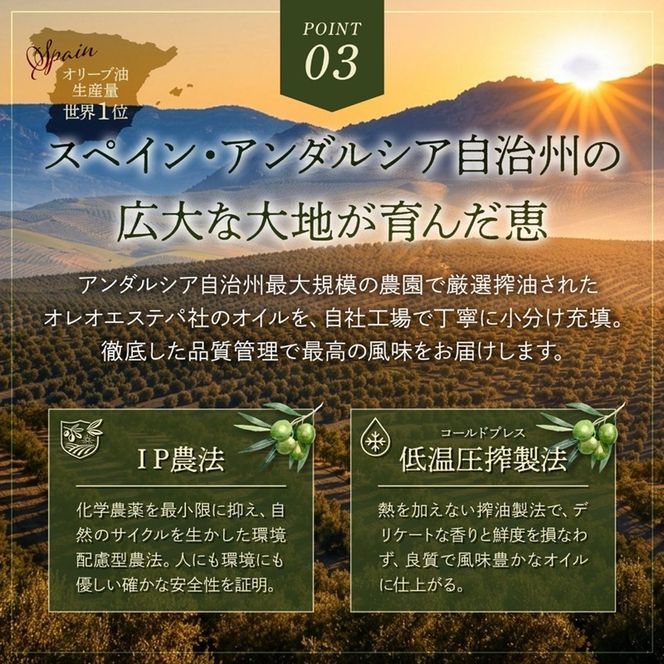 オーガニック エキストラヴァージンオリーブオイル 500ml 6本セット オリーブオイル エクストラバージン 調味料 オイル 油 セット