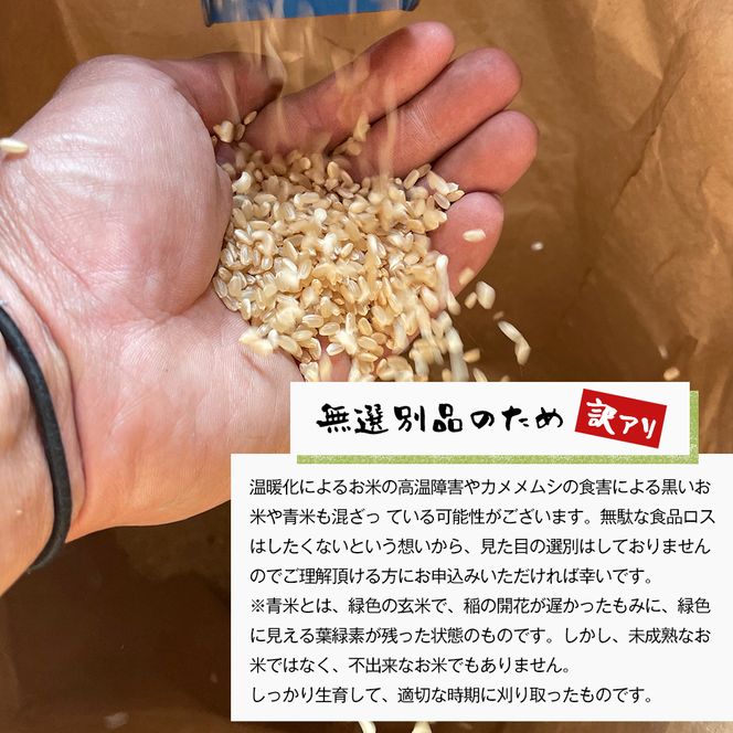 【定期便6ヶ月】自然栽培　コシヒカリ（玄米）　5kg 《無選別品のため訳アリ》