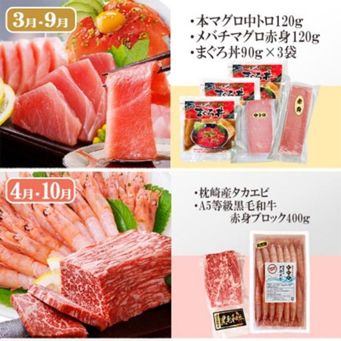 定期便6回配送　よりどりバラエティーセット　GG5-0004 【1573860】