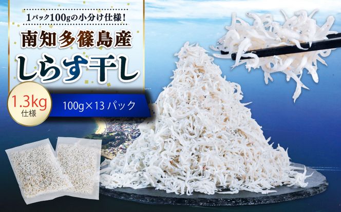 しらす干し 約1.3kg（100g×13パック） 南知多篠島産 大一商店 冷凍 小分け 愛知県 南知多町