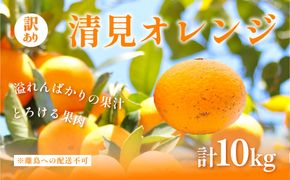 【先行予約】訳あり 清見オレンジ計10kg ※離島への配送不可（2027年3月上旬頃より順次発送予定）IKTAC009