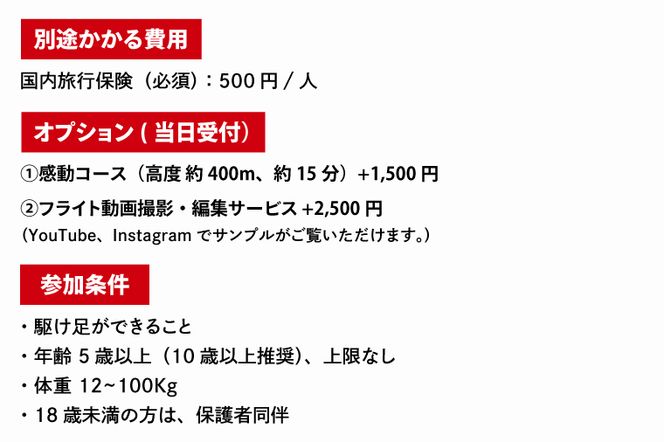 パラグライダー フライト体験 標準コース 大人1名様分 大洗町 観光 体験 アクティビティ