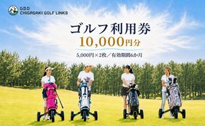 ゴルフ場 神奈川 GDO茅ヶ崎ゴルフリンクス 10,000円分　利用券 ゴルフ ゴルフ場利用権 ラウンド 運動 健康 スポーツ 自然 コース 
