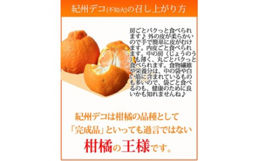 果肉プリプリ♪　完熟紀州デコ(不知火) 約5kg ｜ 柑橘 不知火 デコポン みかん フルーツ 果物 旬 先行予約 でこぽん 国産 産地直送 完熟 一級品  美浜町