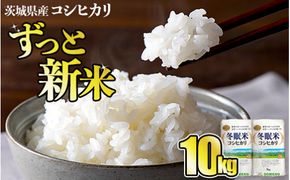 令和8年産 コシヒカリ 冬眠米 10kg（5kg×2袋） | 茨城県産 白米 精米 ごはん お米 冬眠 とうみんまい ブランド米 検査米 単一原料米 国産 守谷市 送料無料