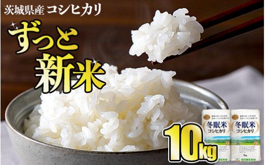 令和8年産 コシヒカリ 冬眠米 10kg（5kg×2袋） | 茨城県産 白米 精米 ごはん お米 冬眠 とうみんまい ブランド米 検査米 単一原料米 国産 守谷市 送料無料