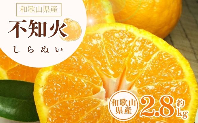 デコ不知火（デコポン） 約2.8kg/サイズおまかせ　※2027年2月上旬～2027年4月上旬頃に順次発送予定(お届け日指定不可)　紀伊国屋文左衛門本舗　【ntbt421C】