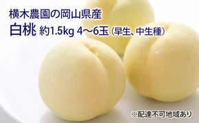 桃 2026年 先行予約 岡山の 白桃（早生、中生種）約1.5kg 4～6玉 もも モモ 岡山県産 国産 フルーツ 果物 ギフト 横木農園 スイーツ 
