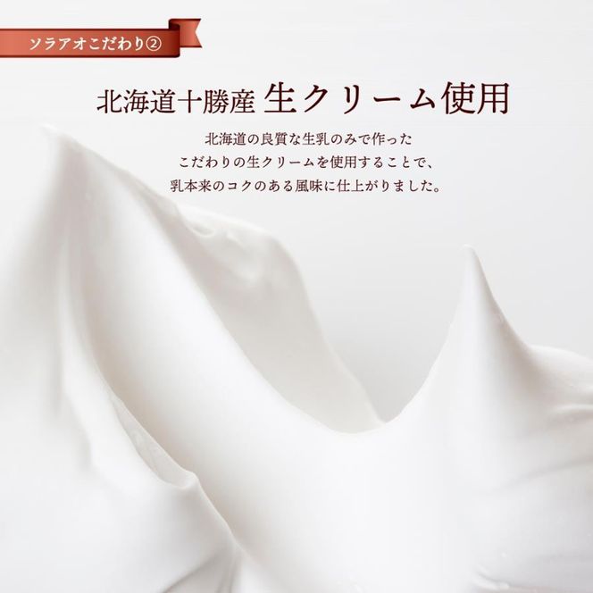 【ソラアオ】アイスチーズケーキサンド 2箱セット 12個入り | 京都 チーズケーキ専門店 アイス  人気セット［ 京都  チーズケーキ専門店 スイーツ アイス アイスサンド 人気 おすすめ 洋菓子 お取り寄せ 通販 送料無料 ふるさと納税 ］ 261009_B-QW11