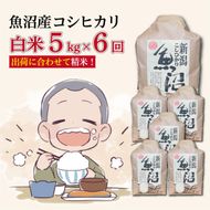 【６か月定期便】令和８年産新米　魚沼産コシヒカリ 精米５kg×６回　計30kg