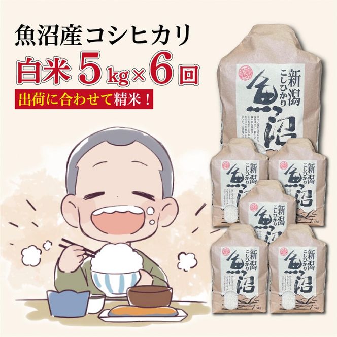 【６か月定期便】令和８年産新米　魚沼産コシヒカリ 精米５kg×６回　計30kg