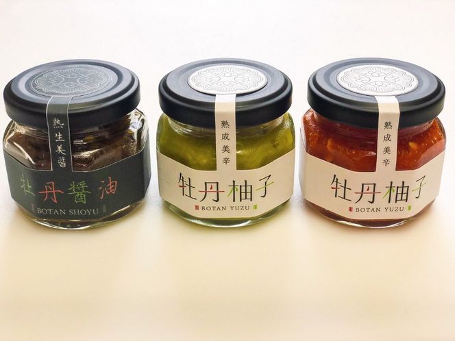 美辛調味料セット(Ag-003)
