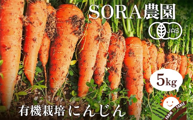 【先行予約11月下旬～順次発送】SORA農園の有機にんじん5kg　有機野菜 有機農園 オーガニックファーム オーガニック野菜 有機栽培 人参 にんじん ニンジン キャロット 冬野菜　SN00006