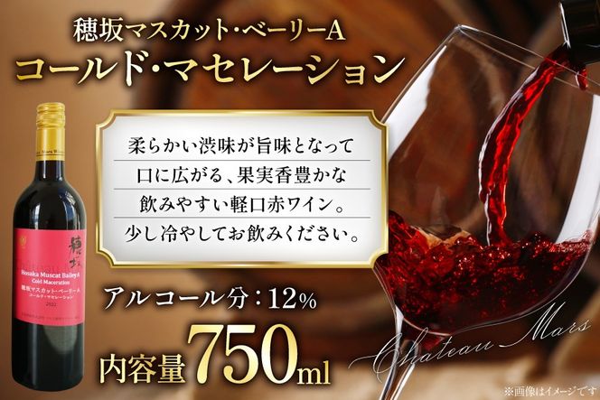 ワイン ソムリエセレクト 赤ワイン 4本 セット [本坊酒造 マルス穂坂ワイナリー 山梨県 韮崎市 20743505] 果実酒 ワインセット赤 飲み比べ シャトーマルス ソムリエ 山梨 