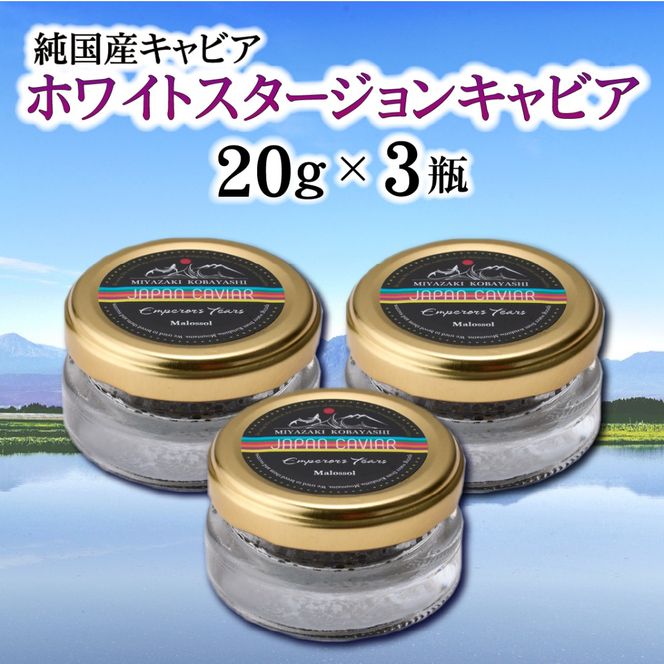 【純国産キャビア】ホワイトスタージョンキャビア 60g 皇帝の涙 国産 チョウザメ 魚卵 宮崎県 宮崎 小林市
