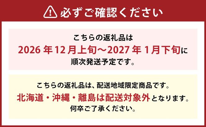 博多あまおう（冬） 約250g～270g×6パック 計約1.5kg～1.62kg【2026年12月上旬-2027年1月下旬発送予定】 いちご 苺 イチゴ 果物 フルーツ