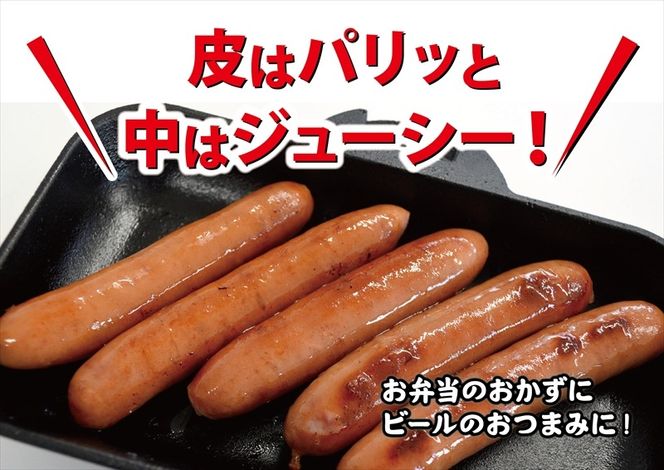 54-2721　和豚もちぶた使用ウインナー【 惣菜 おかず 家庭用 自宅用 贈答品 贈答用 ギフト お取り寄せ お中元 お歳暮 贈り物 神奈川県 小田原市 】