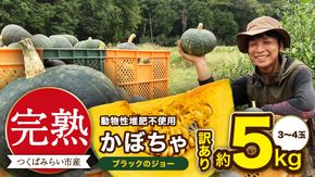 【 訳アリ 】完熟かぼちゃ ブラックのジョー 約5kg（3～4玉） かぼちゃ 生かぼちゃ ほくほく ねっとり 甘い 国産 茨城県産 訳アリ お取り寄せ 野菜 国産 ［FA19-NT］