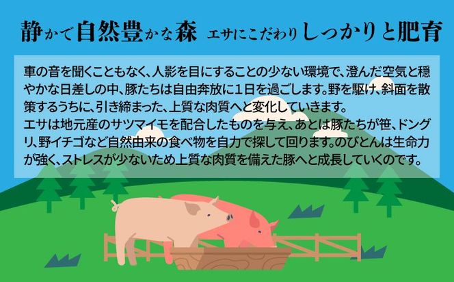 放牧豚「のびとん」スライスセット！500ｇ×2パック K25_0007_2