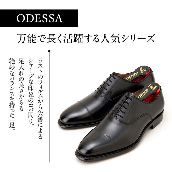 スコッチグレイン 紳士靴 オデッサ NO.916 靴 ビジネスシューズ フォーマル 東京 墨田区