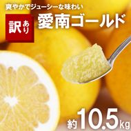 訳あり 河内晩柑 10.5kg サイズミックス 10000円 みかん かわちばんかん ミカン mikan わけあり 愛南ゴールド 家庭用 あいなん ゴールド 美生柑 文旦 派生 和製 グレープフルーツ 産地直送 国産 農家直送 期間限定 数量限定 特産品 人気 限定 甘い おいしい 小玉 含む フルーツ 果物 柑橘 蜜柑 アイス ジュース 等に 規格外 大樹農園 愛南町 愛媛県