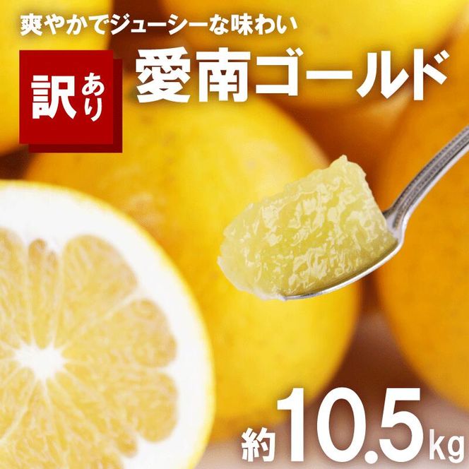 訳あり 河内晩柑 10.5kg サイズミックス 10000円 みかん かわちばんかん ミカン mikan わけあり 愛南ゴールド 家庭用 あいなん ゴールド 美生柑 文旦 派生 和製 グレープフルーツ 産地直送 国産 農家直送 期間限定 数量限定 特産品 人気 限定 甘い おいしい 小玉 含む フルーツ 果物 柑橘 蜜柑 アイス ジュース 等に 規格外 大樹農園 愛南町 愛媛県