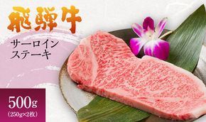 岐阜県海津市産 飛騨牛サーロインステーキ(250g×2枚) 牛肉 500g 