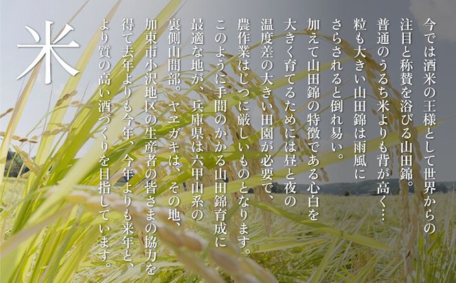 八重垣 純米大吟醸 黒乃無 720ml ヤヱガキ酒造 加東市特A地区 東条産山田錦使用 化粧箱入[ ヤエガキ 小沢地区産 日本酒 酒 お酒 四合瓶 贈答品 フルーティー ] 純米大吟醸酒 