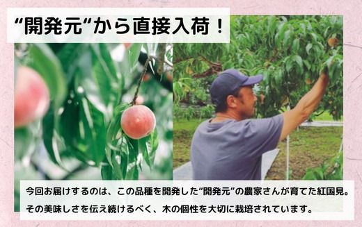 ◆2025年夏発送◆ 紅国見 ～産直・桃・約1.5kg～　※離島への配送不可　※2025年7月上旬～7月下旬頃に順次発送予定