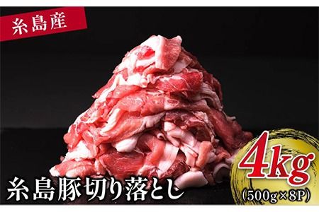 糸島 豚 切り落とし 4kg ( 500g × 8P ) 糸島 【幸栄物産】 [ABH003]