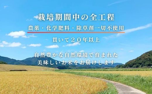 【令和7年産】四万十市産 コシヒカリ 玄米 9kg 栽培期間中農薬・ 化学肥料・除草剤不使用 国産 こしひかり 2025年産 米 こめ コメ ご飯 高知 四万十 しまんと 農家直送 蕨岡の百姓 福留壯 オーガニック 25-0016