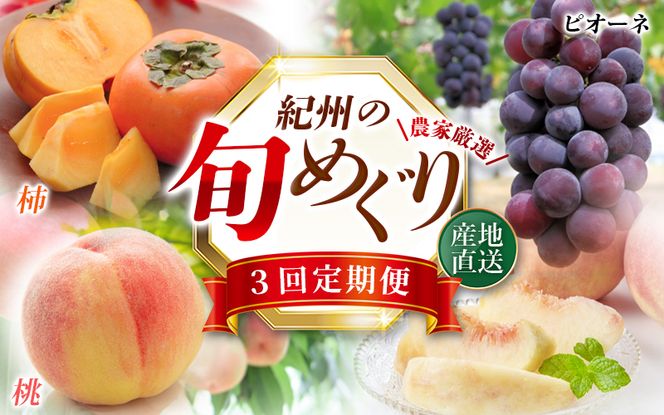 ya̎RI쒬zyS3zIBa̎RY{̃t[c (EsI[lEЂ炽˂Ȃ`)ytkb371z