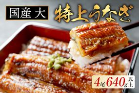 （6月）国産 大 特上うなぎ(160g×4尾)【OT000OB40_006】