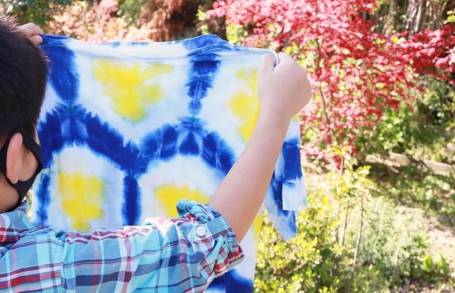 y{򍲖sz099H2945 V܌XTVc̍iߑ̌i25lj