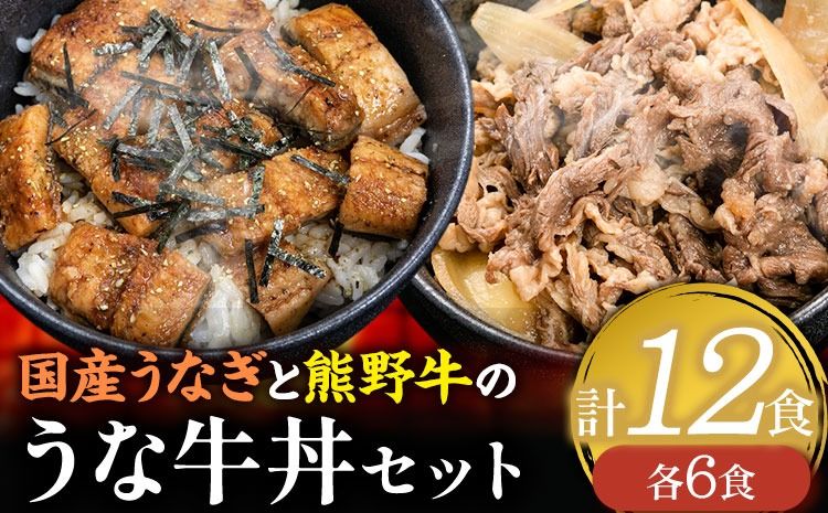 牛丼 熊野牛 国産うなぎ うな牛丼セットB 計12食 各6食 株式会社Meat Factory[30日以内に出荷予定(土日祝除く)]和歌山県 日高川町 牛肉 肉 牛丼 国産 うなぎ うな牛 送料無料---wshg_fmfy31_30d_24_62000_6p---