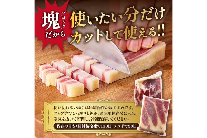 【定期便 隔月×3回】パンチェッタブロック（豚バラ肉の塩漬け）　約200g×2袋 ふるさと納税 豚肉 塩漬け ふるさと納税 ベーコン ふるさと納税 パンチェッタ 豚バラ 塩漬け スペイン料理　NI00024