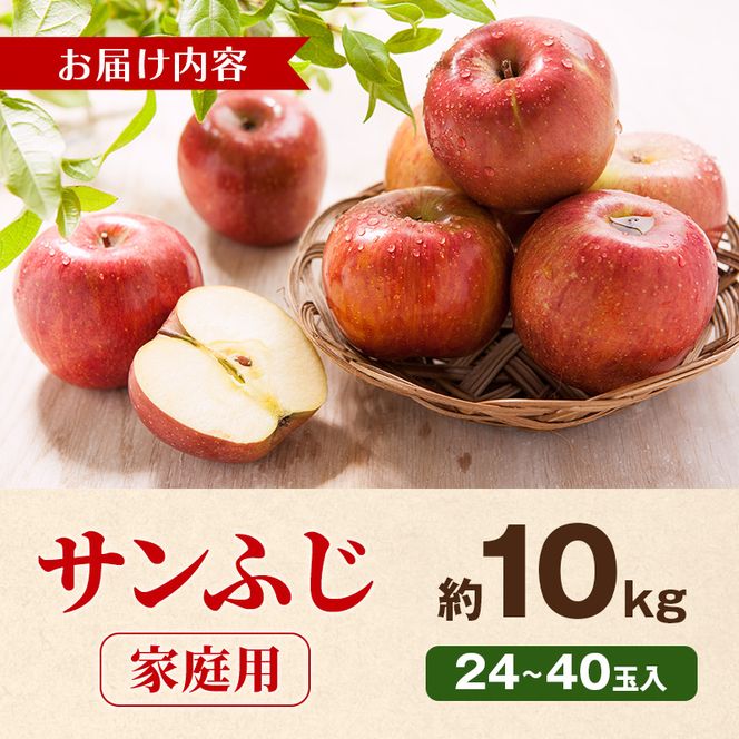 【2026年11月下旬～発送予定】先行予約 訳あり りんご サンふじ 約10kg 24～40玉入 家庭用 フルーツ 果物 甘い おいしい 林檎 リンゴ