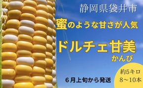 【 先行予約 】リピーター続出！ とうもろこし 【 ドルチェ甘美 】約5kg 8～10本 トウモロコシ 甘い 野菜 採れたて 朝採り 農家直送 袋井市 静岡県