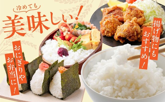 G5607-1 令和8年産 泉佐野産 にじのきらめき 5kg