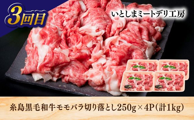 【全3回定期便】糸島・お肉定期便（定番コース） 毎月3-4人前[AAH016]