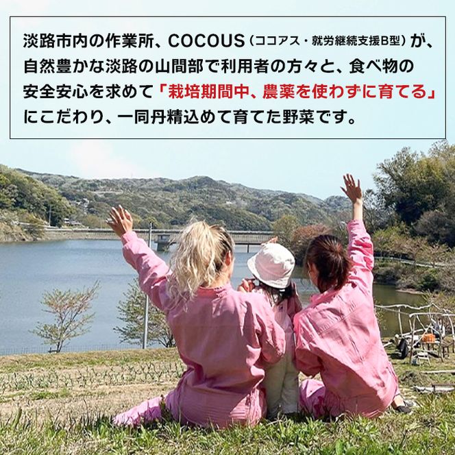 淡路島玉葱 10kg 【栽培期間中、無農薬栽培】サイズ混合SS～2L 玉ねぎ