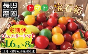 【先行受付】11月～6月毎月発送　まるで宝石箱!!ジュエリートマトの定期便　8回コース【個数限定】 長田農園 産地直送 カラフル トマト とまと 野菜 やさい フルーツ サラダ 濃厚 甘い ご褒美 プレゼント 美容 健康 リピート多数 人気 高評価 先行受付 数量限定 碧南市 H004-235